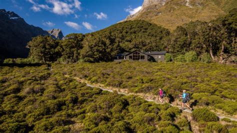 Routeburn Track Guided Walk Ultimate Hikes Tour In Central Otago