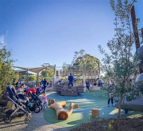 The Canopy Lane Cove Playground Park And Shopping