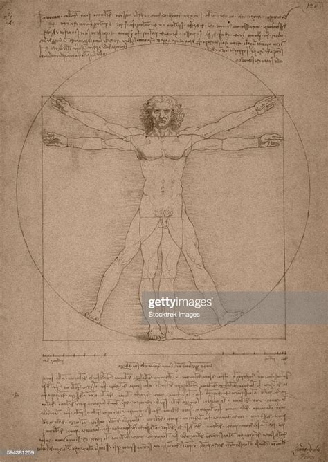 Leonardo Da Vincis Vitruvian Man Circa 1490 Illustration Getty Images