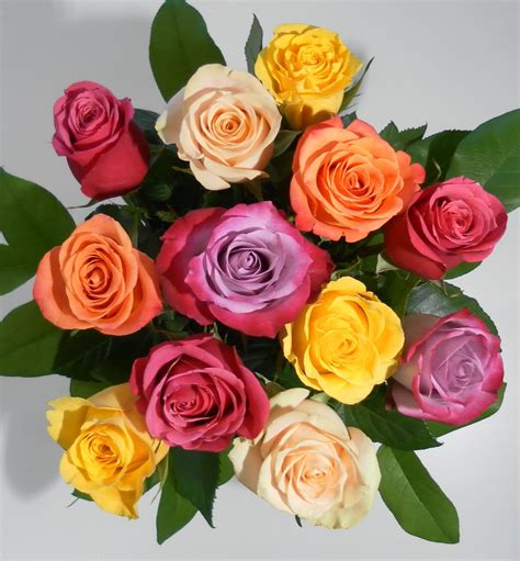 12 Mixed Colour Roses Rsc12 20 Bunches Flower Co