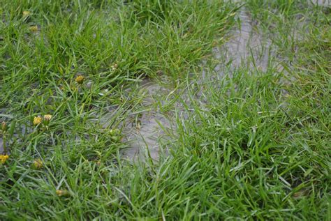Lawn And Garden Feature Getting Rid Of Standing Water In Your Yard