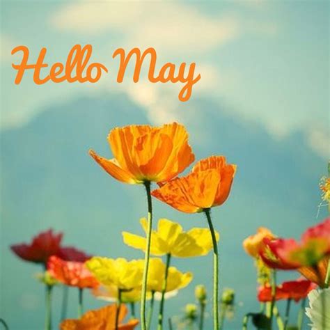 In spring, everything is full of promise…. Hello May ! Month of May. May flowers. Quote of the month ...