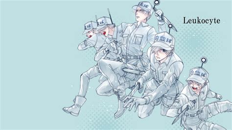 White Blood Cell Cells At Work Wallpapers Wallpaper Cave