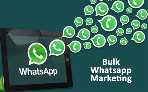 What Are The Advantages Of Using Bulk Whatsapp Sender The Future Tech