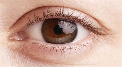 Basically, there are some of the images visually considered as color. Temblor en un ojo: causas y tratamientos | Blog de Clínica ...