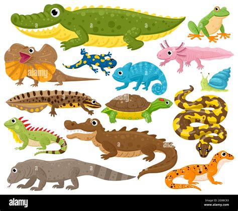 Reptiles And Amphibians Cartoon Frog Chameleon Crocodile Lizard And
