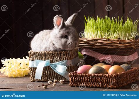 Cute Easter Bunny With Colored Eggs Stock Photo Image Of Painted