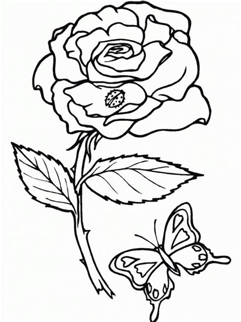 Some of these coloring pages are advance and hard to color and some are easy and fun. Free Printable Roses Coloring Pages For Kids