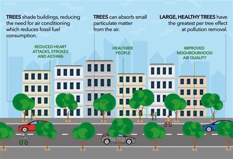 Why Urban Tree Planting Encourages Modal Shift Greenblue Urban
