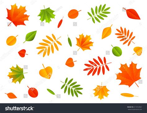Autumn Color Leaves On White Background Stock Vector Royalty Free