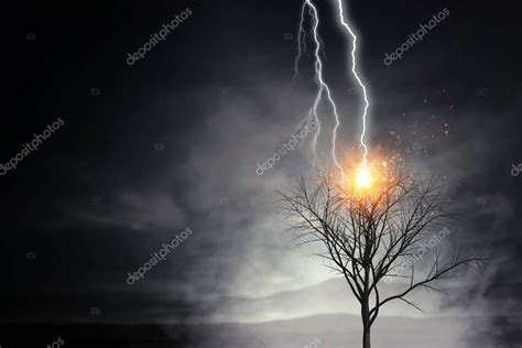 Bright Lightning Hit The Tree — Stock Photo © Sergeynivens 176094914