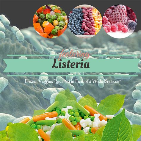 Listeria is a genus of bacteria that acts as an intracellular parasite in mammals. Listeria On Frozen Veggies Recalled In Fear Of A Wide ...