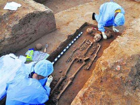 Discovery Of 5 000 Year Old Skeletons In India Provides Insight Into