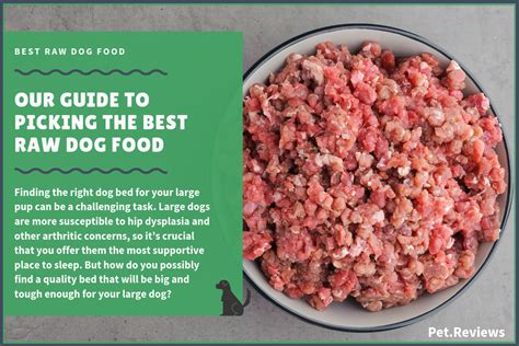 This is due to the health risk raw dog foods can present. 10 Best Commercial Raw Dog Food Brands (Frozen ...