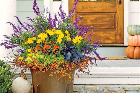 All Fired Up Fall Container Gardening Ideas Southern