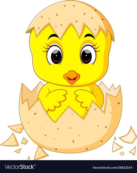 Baby Bird Yellow Chick Hatching Egg Cartoon Vector Illustration My