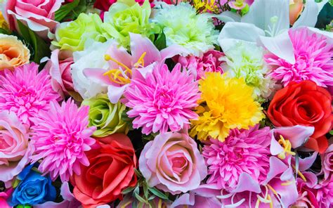 Free Download Beautiful Colorful Flowers Wallpaper Forwallpapercom