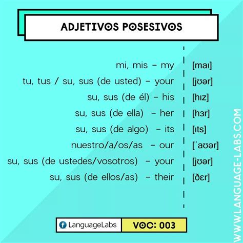 Clase De Jose Angel Posesivos En Ingles Reglas Gramaticales Como Images