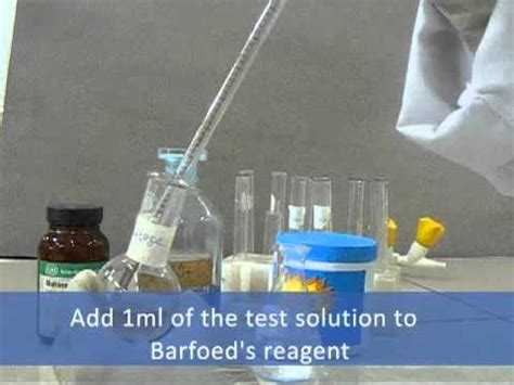 The starches are put away as free sugars and polysaccharides. Barfoed's Test - Qualitative Test in Carbohydrates - YouTube