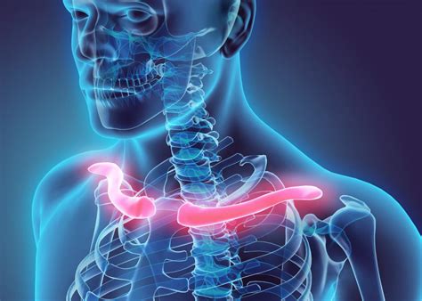 Collarbone Clavicle Pain 8 Causes