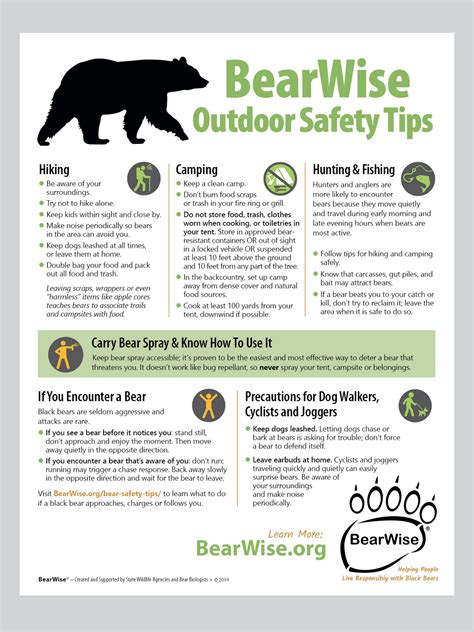 Be Bearwise With These Bear Safety Tips At Home And When Outdoors