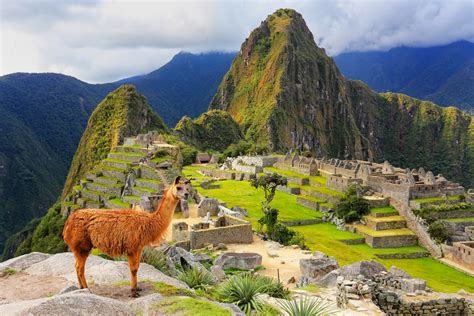Machu Picchu Poopers Deported And Banned From Peru For 15 Years