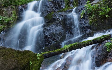 Krka National Park Croatia Parks Waterfalls Crag Moss Trees Hd
