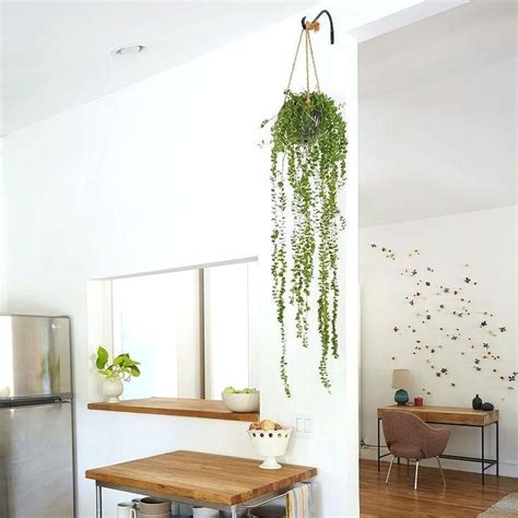 How To Hang Greenery From Ceiling