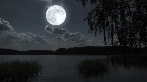 Full Moon Night Landscape With Forest Lake Stock Footage Video 7229680