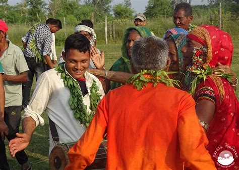 Tharu Celebrating Dashain Bardia National Park Bardia Homestay Nepal