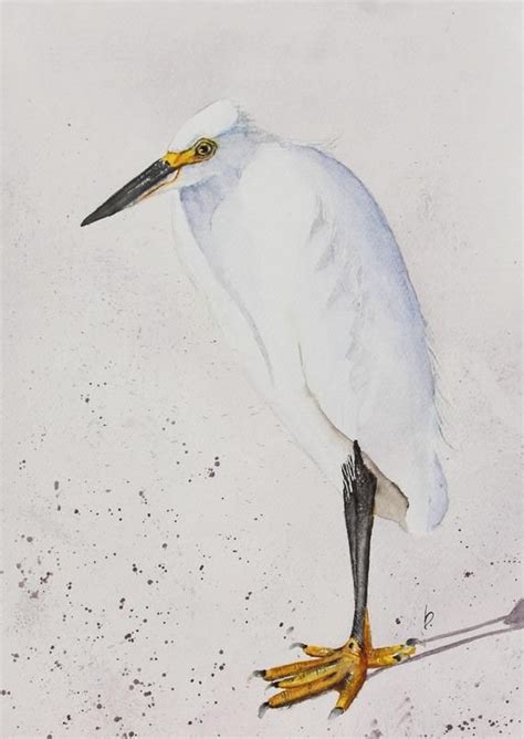 Egret Painting Snowy Egret Watercolor Coastal Bird Art Etsy Bird