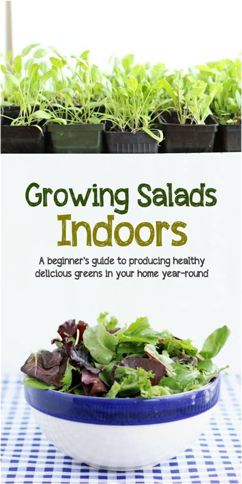 Growing Salads Indoors—year Round Empress Of Dirt Growing Food