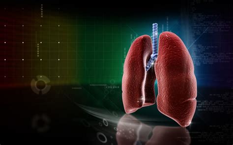 The Economic Impact Of Lung Disease In Canada Bronchiectasis News Today