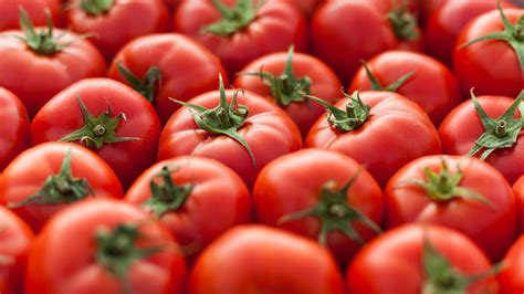 Comment Conserver Ses Tomates Plus Longtemps