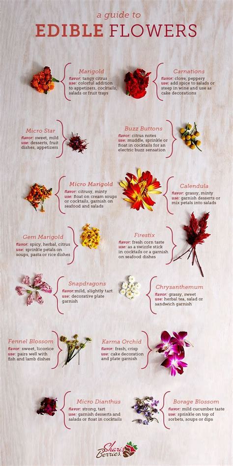 A Guide To Edible Flowers Artofit