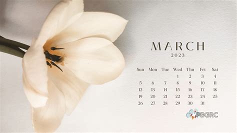 March 2023 Calendar Wallpapers Wallpaper Cave