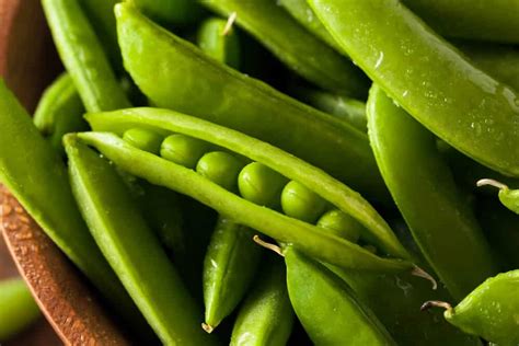 Growing Sugar Snap Peas Made Easy From Seed To Harvest Outdoor Happens