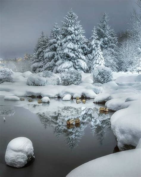 Classic Winter Scene Paysage Hiver Paysage De Neige