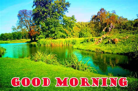 Good Morning Nature Wallpaper Pictures Images Hd Full Hd Beautiful