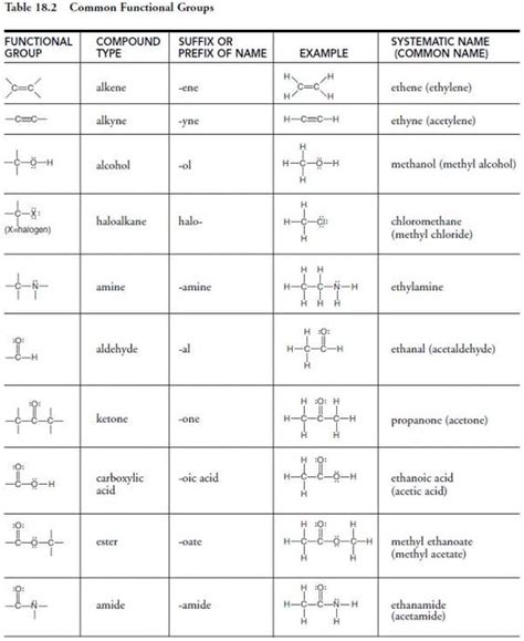 Common Functional Groups Amazing Facts Of Science Pinterest
