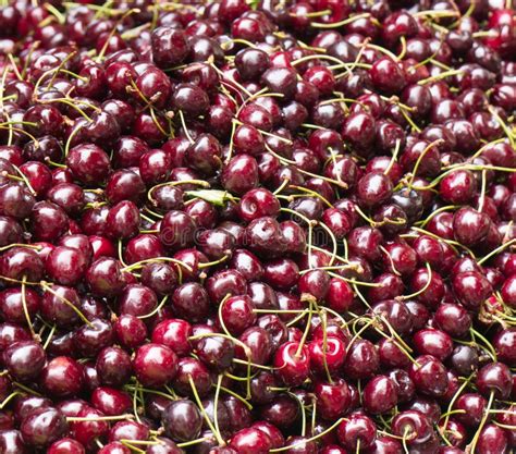 Lot Of Ripe Red Cherries Stock Photo Image Of Natural 124760418