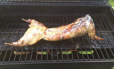 Maybe you would like to learn more about one of these? Rabbit Recipes - Following A Dream