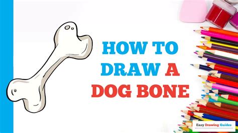 Cómo Dibujar Un Hueso De Perro En Unos Sencillos Pasos Tutorial De