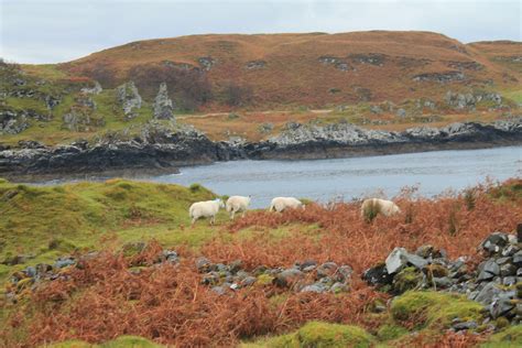 A Trip To The Western Isles Of Scotland Voices
