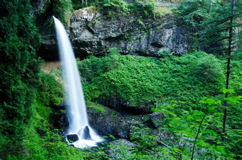 Silver falls state park cabins. Best family camping spots in the Northwest US - SheKnows