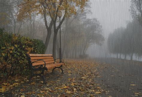 Passion Of Life Autumn Rain Moving Images