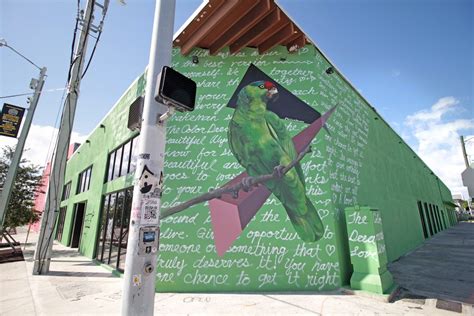 Parrot Mural For Thor Equities Completed In Wynwood Miami Fl The