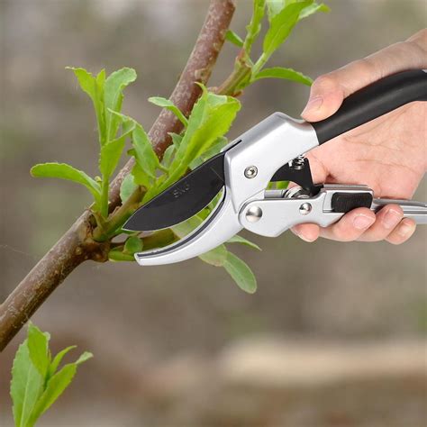 Garosa Garden Scissors Fruit Tree Pruning Shears Professional Steel