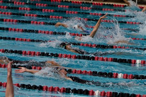 Palo Alto Swim Club Home