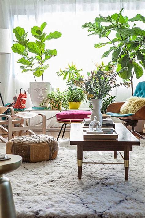 Las plantas ornamentales son las encargadas de estimular sentidos como el olfato y la vista, gracias a sus colores y aromas. Decoración con plantas 70 fotos y consejos de interiores ...